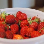 DSC_9090 DSC_9090